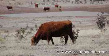 Need grazing loss assistance? Deadline: Jan. 31