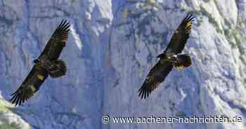 Neuer Roman von Willi Achten: Kraxeln am Abgrund