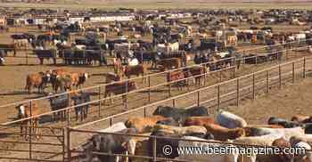 Norbrook to give antibiotic update at NCBA Trade Show