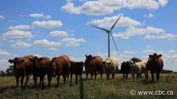 Farmers skeptical of wind turbines, but more accepting of certain proposals, U of A study shows