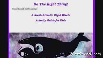 Rhode Island author releases free publication to educate children about North Atlantic right whales - WLNE-TV (ABC6)