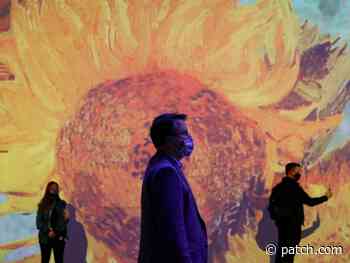 Immersive Van Gogh Exhibit Coming To Rhode Island - Patch.com