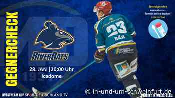 Heimspiel eins der Abstiegsrunde: Mighty Dogs müssen die Herausforderung gegen Geretsried annehmen - Lokale Nachrichten aus Stadt und Landkreis Schweinfurt - inUNDumSCHWEINFURT_DE