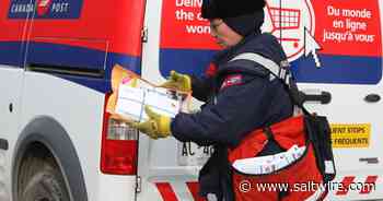 Canada Post suspends mail delivery in Corner Brook and Labrador City on Jan. 18 - SaltWire NS