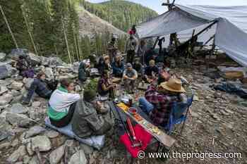 UPDATED: BC Appeal Court extends injunction against protests at Fairy Creek – Chilliwack Progress - Chilliwack Progress