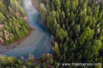 BC seeks public input on new watershed protection strategy – Chilliwack Progress - Chilliwack Progress