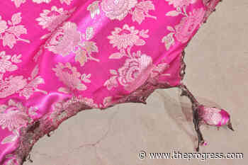 New exhibitions coming to The Reach gallery in Abbotsford – Chilliwack Progress - Chilliwack Progress