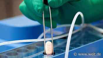 EU-Behörde EMA gibt grünes Licht für Covid-Pille von Pfizer