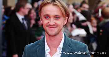 Tom Felton joins food innovator as investor and ambassador - Wales Online