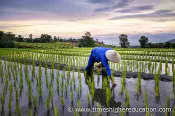Asian universities are neglecting to take food security seriously - Times Higher Education (THE)