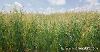 Food, ag and forestry get their own science-based targets | Greenbiz - GreenBiz