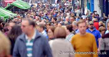 Popular food festival to return to Wales after two-year absence - Wales Online