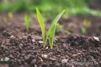 Genome edited food crops - POST - Parliamentary Office of Science and Technology
