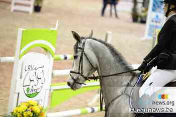 LRV Puurs: Lennert Smets domineert in Klasse M - equnews.be