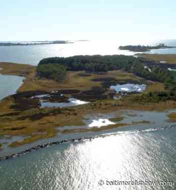 Maryland receives funding boost to rebuild vanishing islands in Chesapeake Bay - - Baltimore Fishbowl