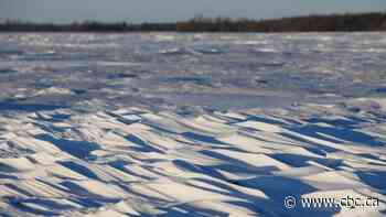 Police in India detain 6 in connection with deaths at Canadian border