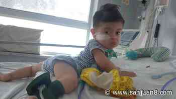 Liam, el pequeño que padece leucemia, viajará a Buenos Aires - San Juan 8