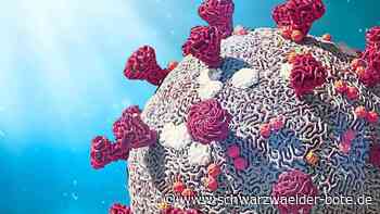 Corona im Kreis Calw: 360 Neuinfektionen - Inzidenz steigt wieder stark