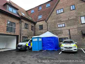 Murder investigation launched after man dies in Bushey