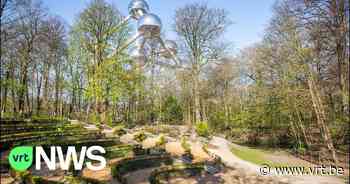 "CORE": Tomorrowland en Rock Werchter lanceren samen gloednieuw festival in Brussel - VRT NWS