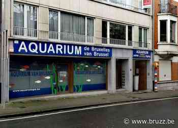 Vroeger Aquarium van Brussel wordt mogelijk pinksterkerk - BRUZZ