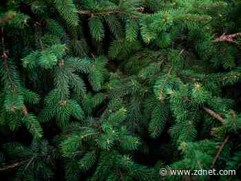 The best IT skill for the 2020s? Become an 'evergreen' learner