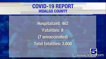 Hidalgo County reports eight coronavirus-related deaths, 463 positive cases - KRGV