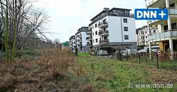 Der Leutewitzer Park bleibt treuer Begleiter der Politik in Dresden - Dresdner Neueste Nachrichten