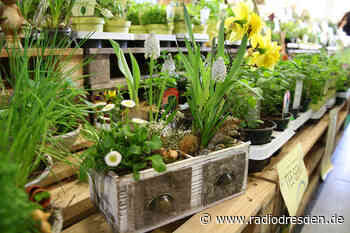 Trotz Lockerungen: Keine großen Messen im Februar in Dresden - Radio Dresden