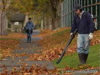 Vancouver takes step toward banning gas-powered leaf blowers by 2024