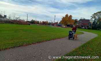 Port Colborne buys canal-side property as part of cruise ship dock project - Niagarathisweek.com