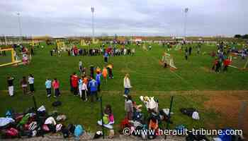 Frontignan : le Frontignan Thau handball obtient le Label argent - Hérault Tribune - Hérault-Tribune