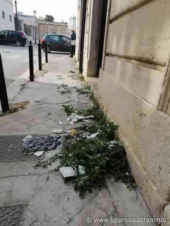 Trani, la città dove le erbacce invadono strade e marciapiedi - Radio Bombo