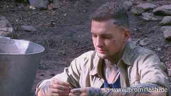 Im Dschungel: Eric Stehfest will seiner Mama Signal senden! - Promiflash.de