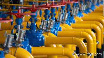 The US and its allies are racing to draw up contingency plans in case crucial gas supplies are choked off