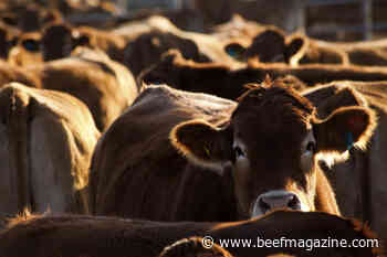 Increase adaptability through use of hair shedding EPDs