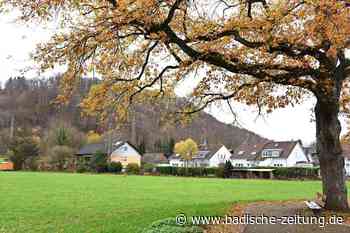 Steinen bringt das Baugebiet Scherracker in Höllstein auf den Weg - Steinen - Badische Zeitung