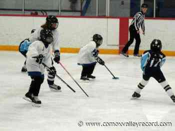 Comox Valley Regional District launches ice sports survey - Comox Valley Record