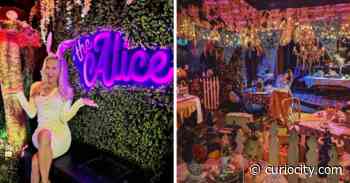 The boozy Alice in Wonderland popup bar opens it’s doors in Calgary today - Curiocity
