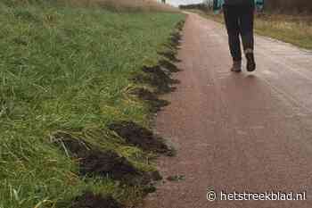 Voorjaarsweer betekent dat we overal molshopen zien. Eén mol maakt er zo'n dertig, terwijl hij broertje dood heeft aan graven. Waarom doet de mol dat? - Het Streekblad