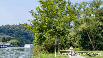 Radwegsausbau: Zell muss mehr bezahlen - Kreis Cochem-Zell - Rhein-Zeitung