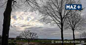 Das Wetter für Königs Wusterhausen, Zossen und Luckenwalde - Märkische Allgemeine Zeitung