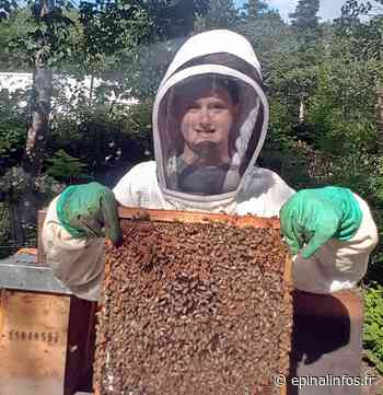 Epinal : 2021, une année à oublier pour les apiculteurs - Epinal infos - Epinal Infos