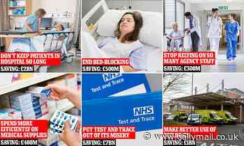 Here's how to save the NHS £12bn... without damaging patient care