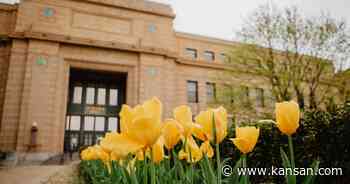 Nicole Hodges Persley to serve as acting vice provost for DEIB - The University Daily Kansan