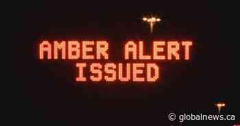 Amber Alert issued after toddler allegedly abducted by mom: Calgary police