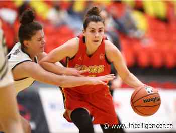 CAMPUS PREVIEW: Dinos basketball returns to action at home ... hockey, too - Belleville Intelligencer