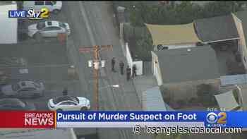 Police Searching For Murder Suspect In North Hollywood