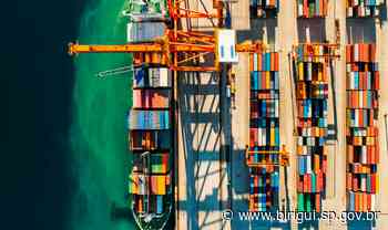 Birigui fecha 2021 com crescimento de 28,3% nas exportações e movimenta US$ 29,8 milhões - Prefeitura de Birigui