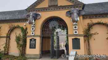 Inventur im Zoo Heidelberg – so viele „Bewohner“ hat der Tiergarten - heidelberg24.de